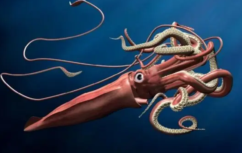 ببینید| ماهی مرکب غول‌پیکر به صورت ماهیگیر جوهر پاشید