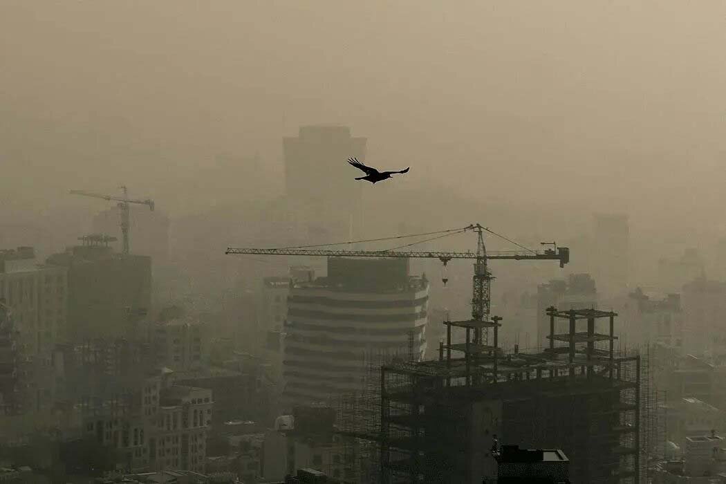 در استقبال از آلودگی هوا!