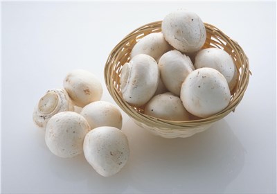 مصرف قارچ خطر ابتلا به افسردگی را کاهش می‌دهد؟