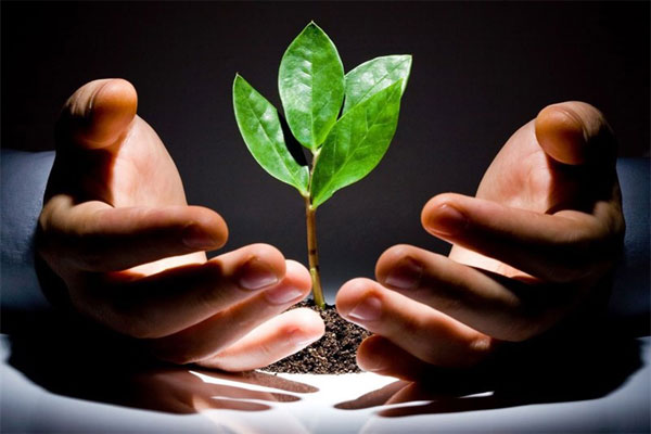 افزایش 234 درصدی پرداخت تسهیلات قرض‌الحسنه به مددجویان میبدی  