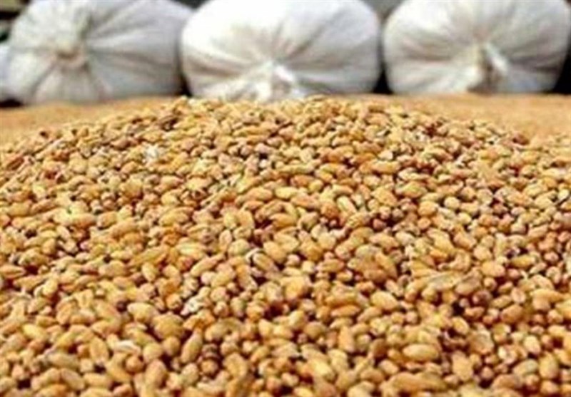 محکومیت ۶ میلیاردی قاچاق نهاده دامی وارداتی در ابرکوه