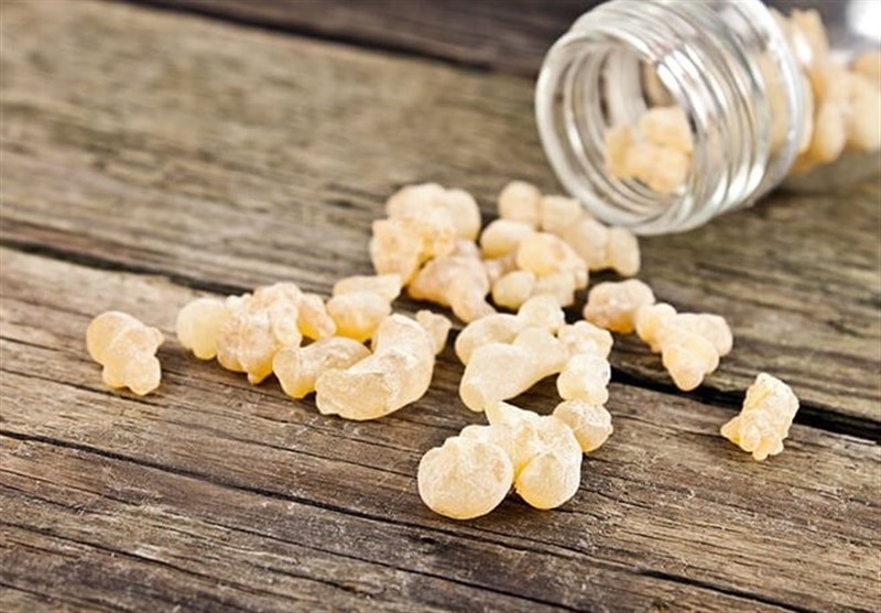 برای جلوگیری از زوال عقل و کُندذهنی "کندر" مصرف کنید!