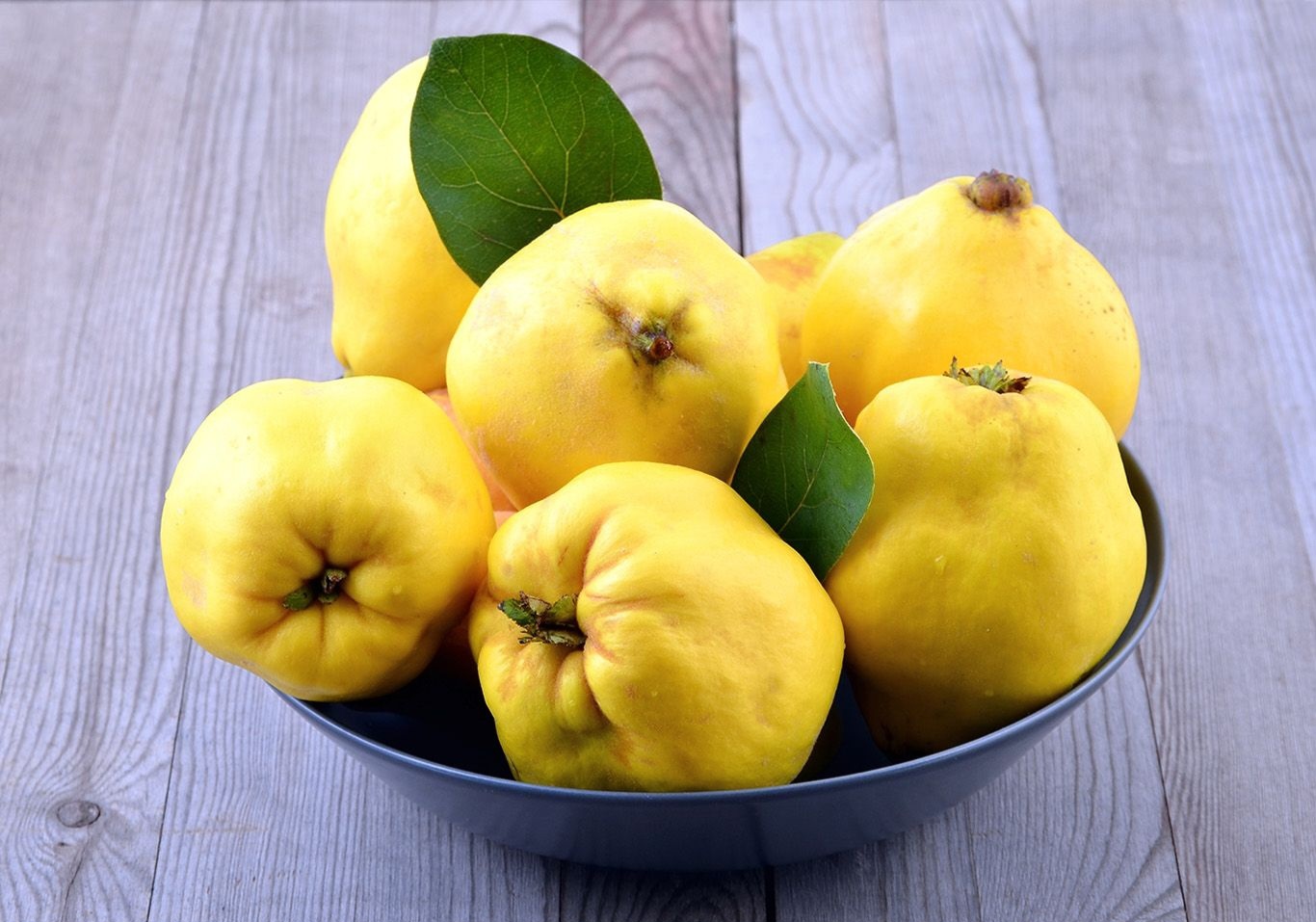 هشدار؛ عوارض بوییدن پوست میوه بِه