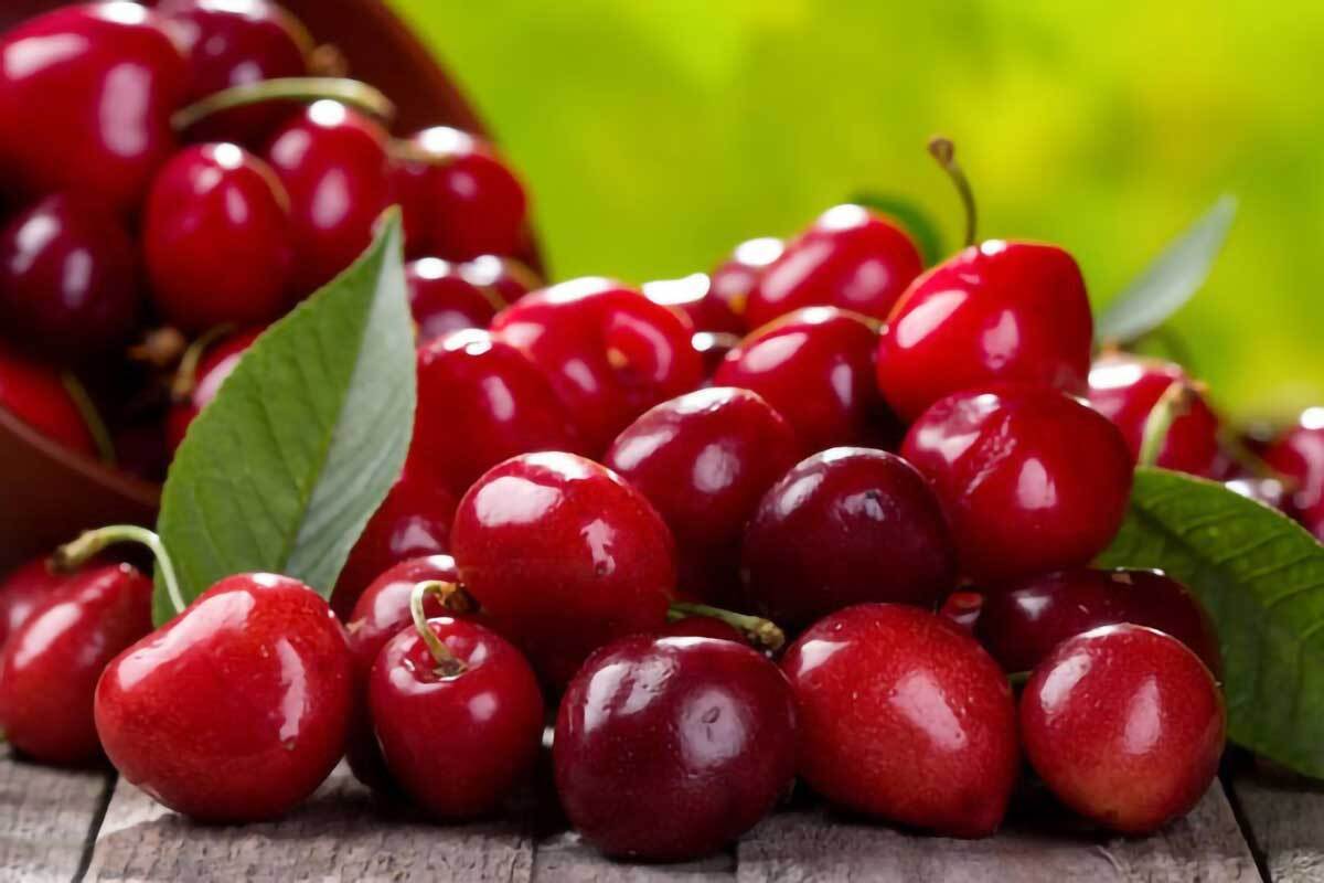 چه کسانی نباید آلبالو بخورند؟