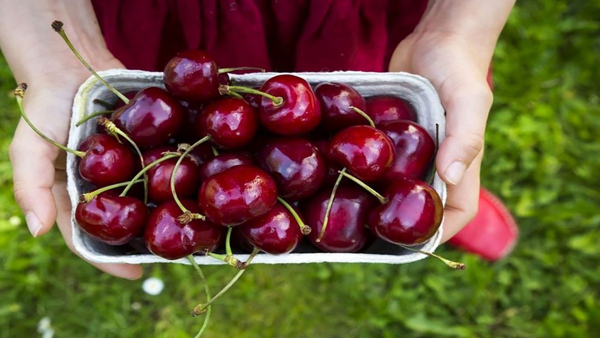 زیاده روی در مصرف گیلاس چه ضرر‌هایی دارد؟