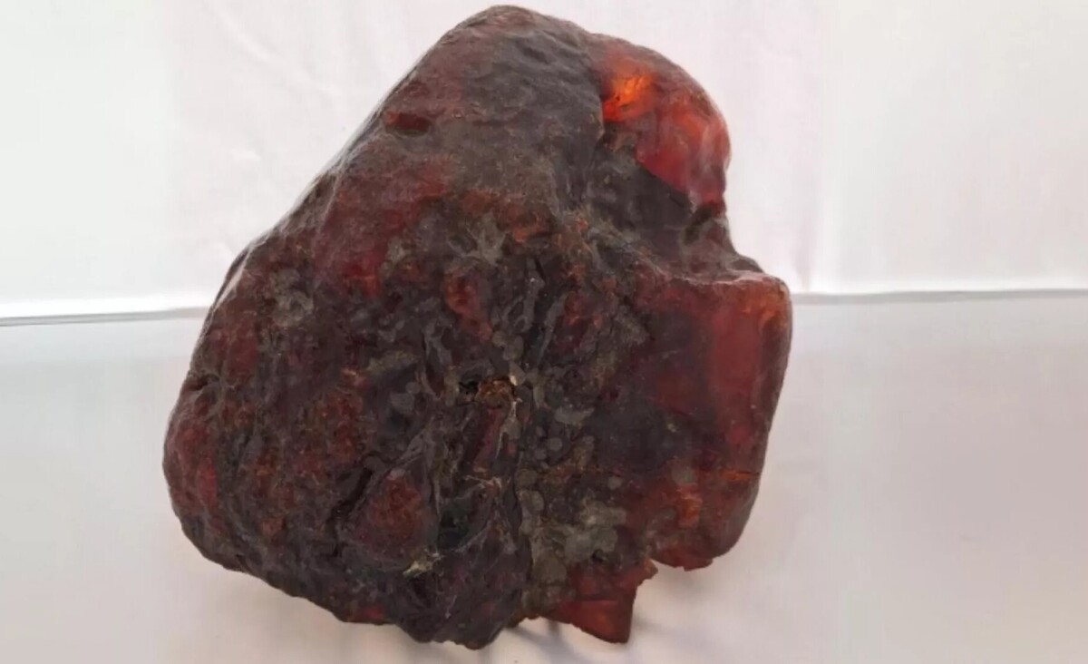 سنگی که ۳۰ سال به‌عنوان نگه‌دارنده در خانه استفاده می‌شد، گنج ۱ میلیون دلاری از آب درآمد