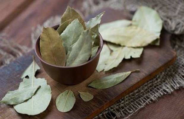 برگ بو این همه خاصیت دارد!