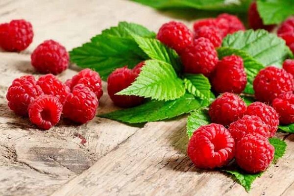 راز جوانی، حافظه قوی و لاغری در یک میوه کوچک