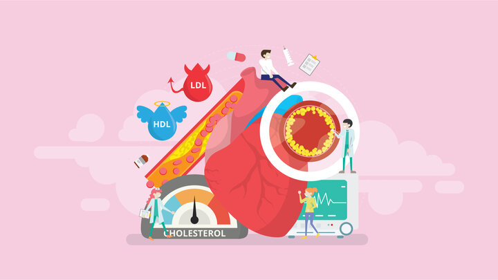 نتایج جدید و عجیب تحقیقات: کلسترول بد، خوب است!