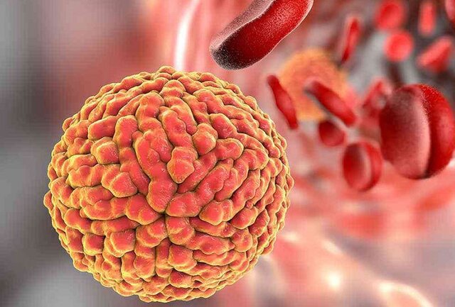 دست ویروس زیکا برای عبور از جفت جنین رو شد