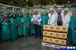 گزارش و گزارش تصویری:بازدید جمعی از کارشناسان بهداشت از کارخانه روغن کنجد بکر ثمر