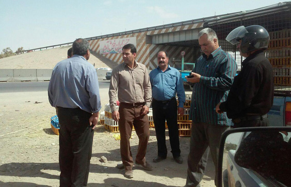 با هر گونه عرضه طیور زنده در سطح شهر برخورد قانونی صورت می گیرد.