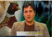 گفتگوي اختصاصي يزدفردا با ابوالفضل هنزائي موسس اولین مجتمع صنعتی پرورش کبک ( كبك ) و قرقاول وبلدرچین در ایران گفتگوي اختصاصي يزدفردا با ابوالفضل هنزائي موسس اولین مجتمع صنعتی پرورش کبک ( كبك ) و قرقاول وبلدرچین در ایران