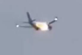 فیلم| فرود اضطراری به دلیل ورود خرگوش به موتور هواپیما