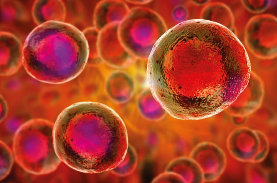 حذف یک اسید آمینه از رژیم غذایی ممکن است به کاهش علائم پیری کمک کند