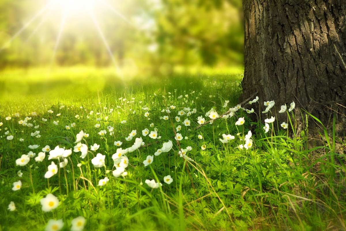 توصیه‌های یک متخصص طب ایرانی برای تغذیه در فصل بهار